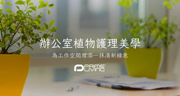 辦公室植物護理美學